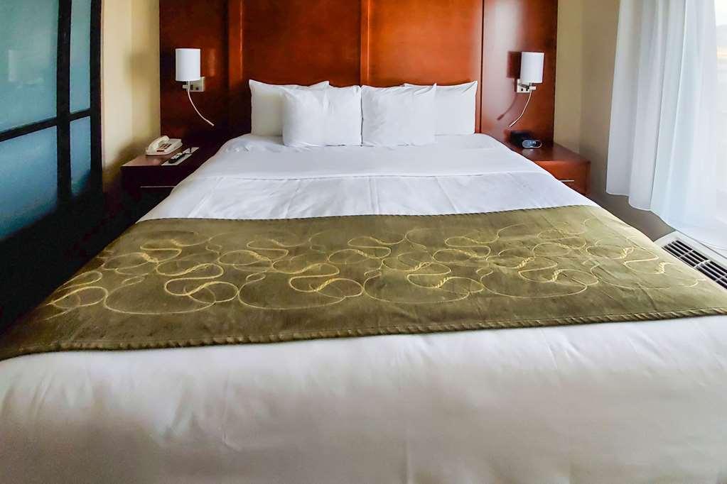 Comfort Suites Helena Airport Rum bild